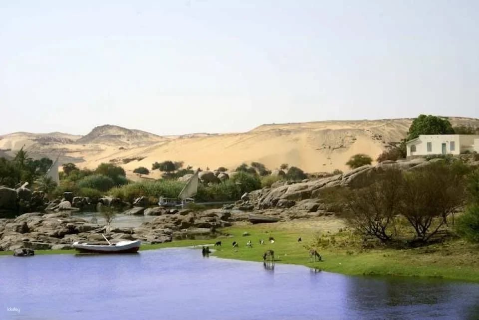 Best of Aswan and Edfu Temple Guided Tour with Nubian Lunch from Luxor
