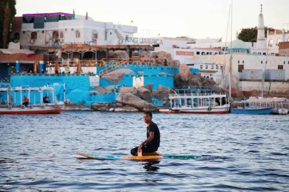 Best of Aswan and Edfu Temple Guided Tour with Nubian Lunch from Luxor