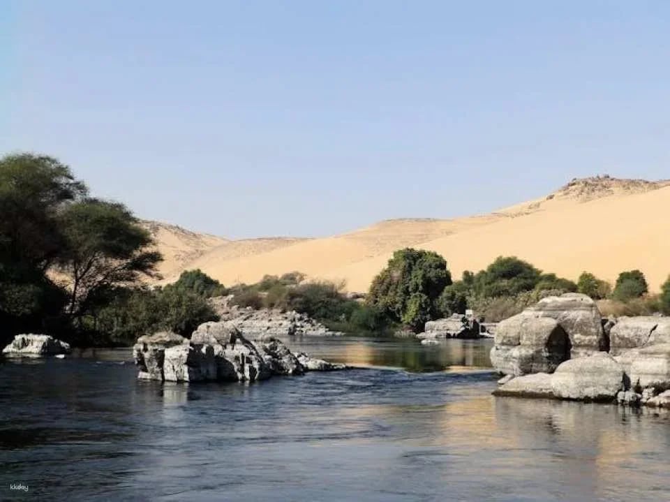 Best of Aswan and Edfu Temple Guided Tour with Nubian Lunch from Luxor