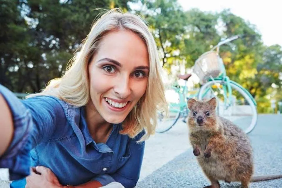 Perth, Fremantle, Rottnest Island, and Swan River Guided Tour