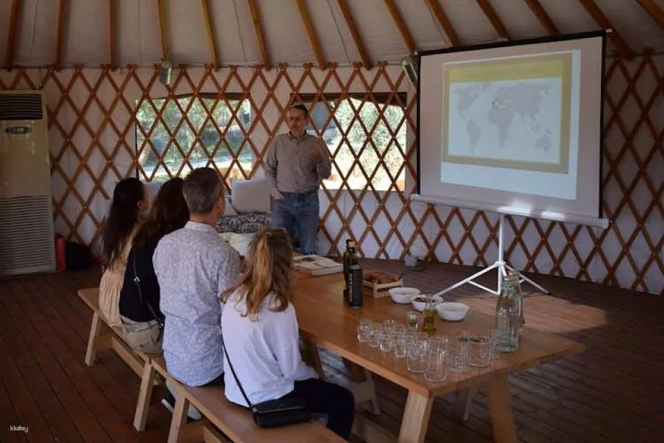 Olive grove and olive oil tasting full day tour from Athens