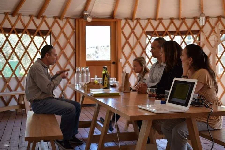Olive grove and olive oil tasting full day tour from Athens