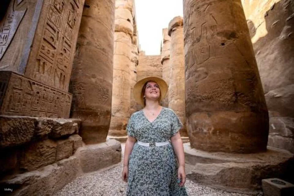 Ancient Luxor tour from Marsa Alam with a private Egyptologist (616797)