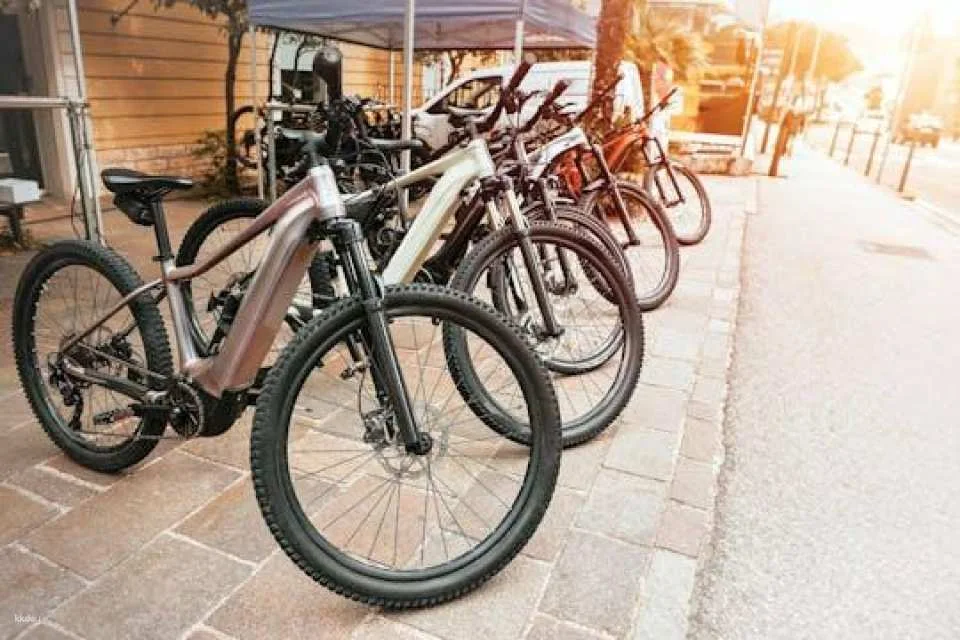 River Cruises Collection: Belgrade E-Bike Tour (616871)