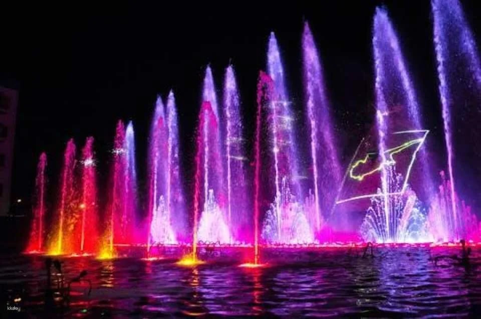 Magic Dancing Waters Ticket