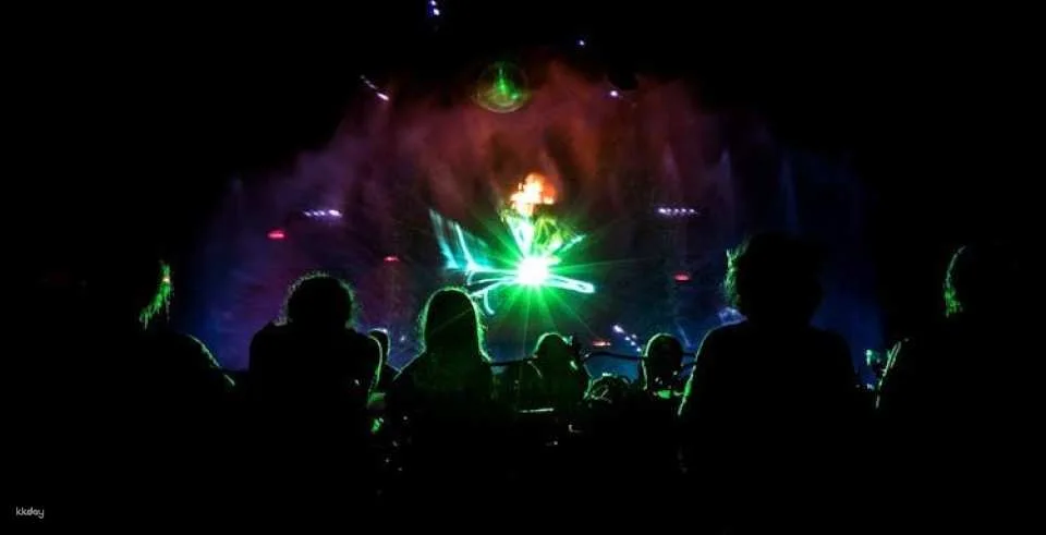 Magic Dancing Waters Ticket