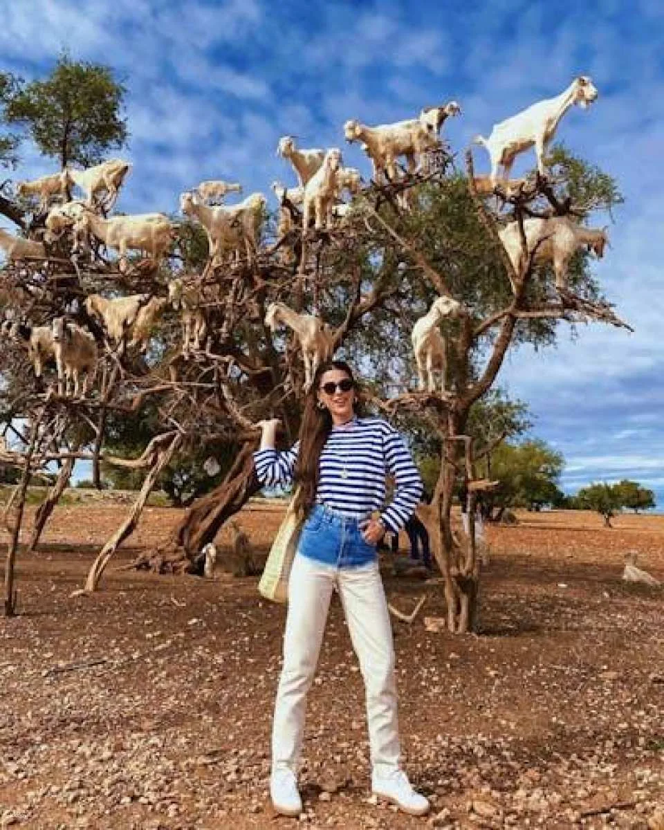 Moroccan Countryside Adventure with Crocoparc and Cooperative Visit