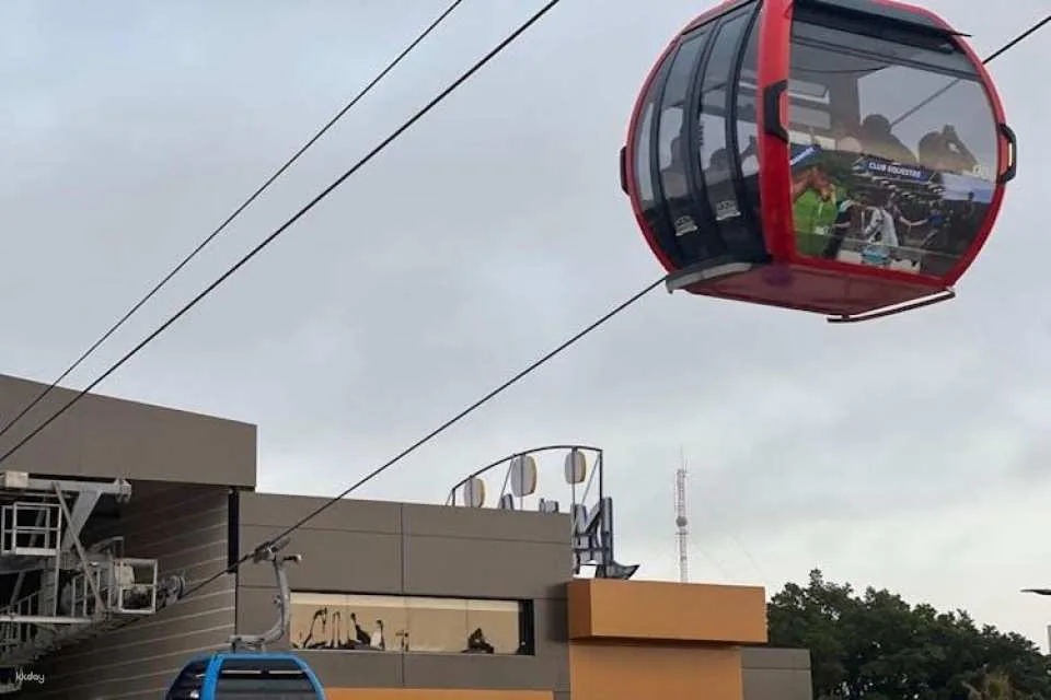 Agadir Guided City Tour with Cable Car