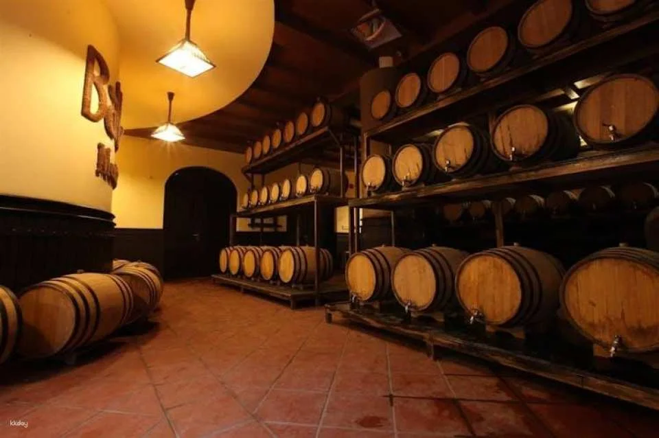 Tour to the Ba Na Hills with cable car and craft brewery and lunch