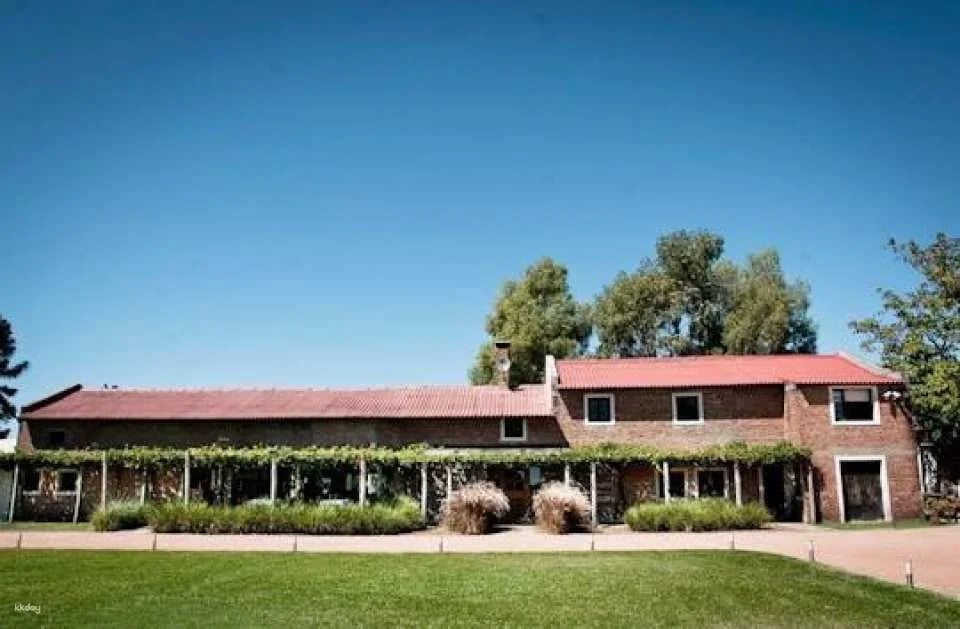 Guided Tour with Wine Tasting Experience at Bouza Winery