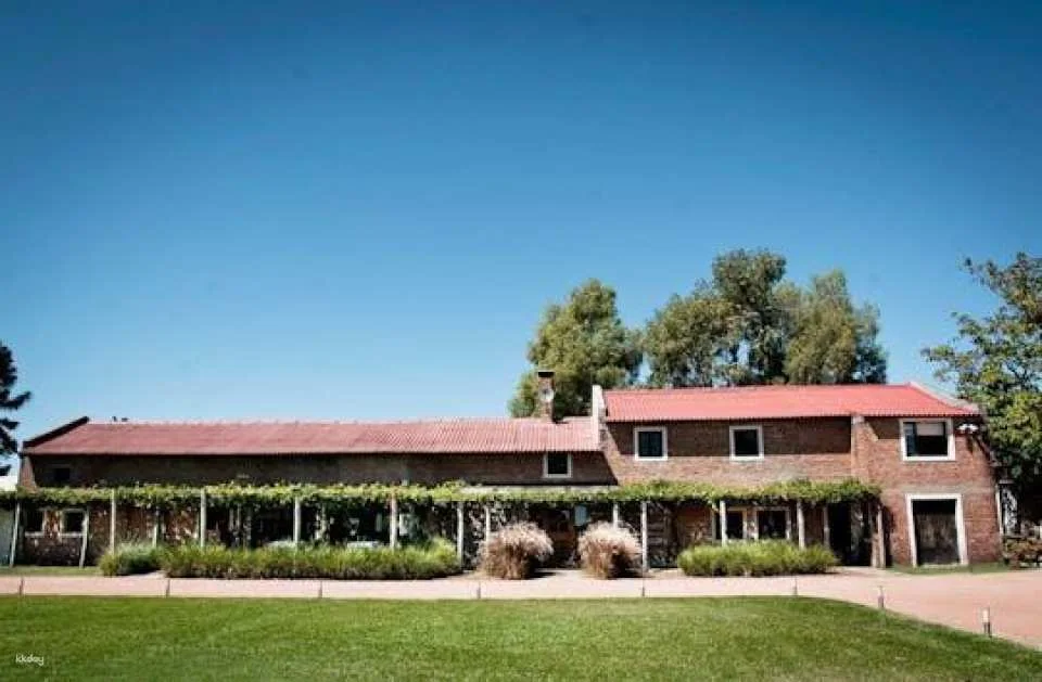 Guided Tour with Wine Tasting Experience at Bouza Winery (617197)