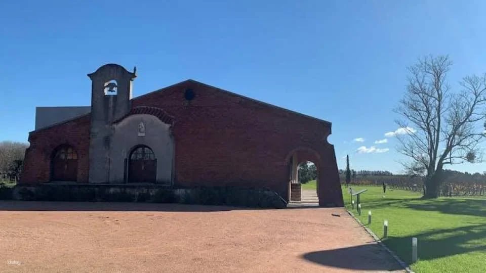 Guided Tour with Wine Tasting Experience at Bouza Winery