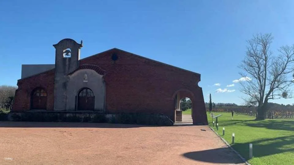 Guided Tour with Wine Tasting Experience at Bouza Winery
