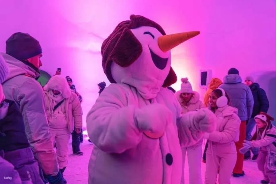 Snowman World day tickets