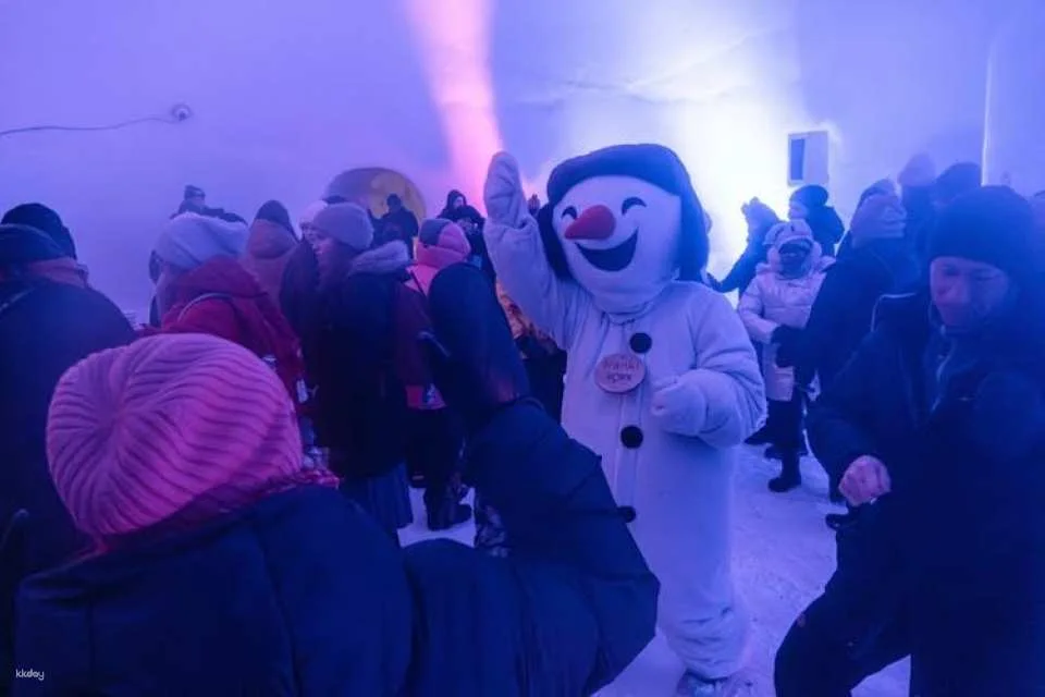 Snowman World day tickets