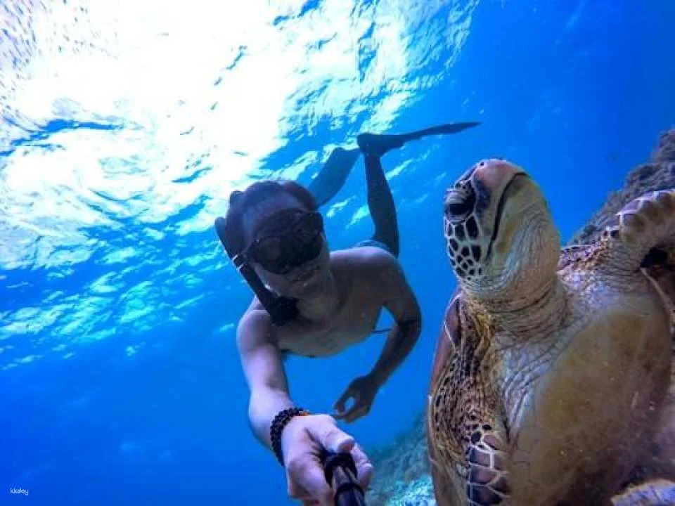 Half-day afternoon boat trip with lunch and drinks in Hurghada (617238)