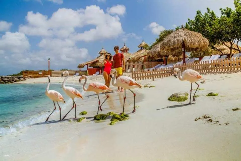 De Palm Island water park all-inclusive tickets