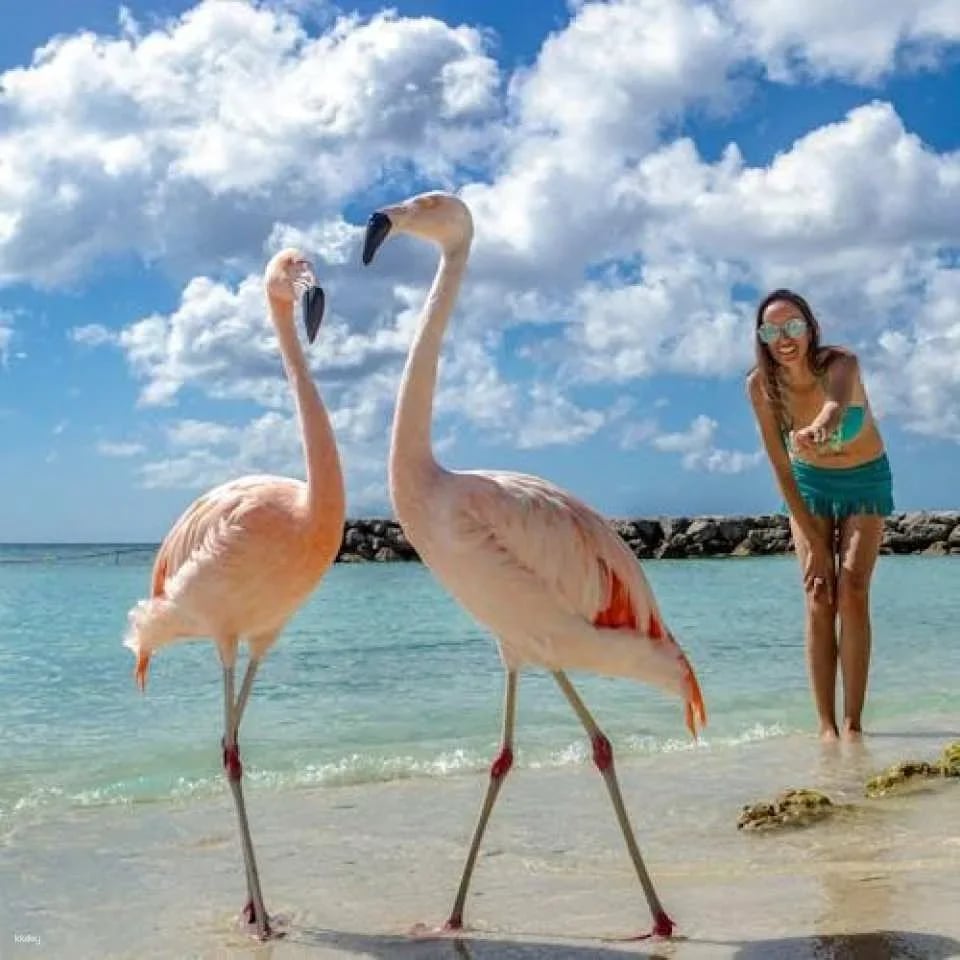 De Palm Island water park all-inclusive tickets