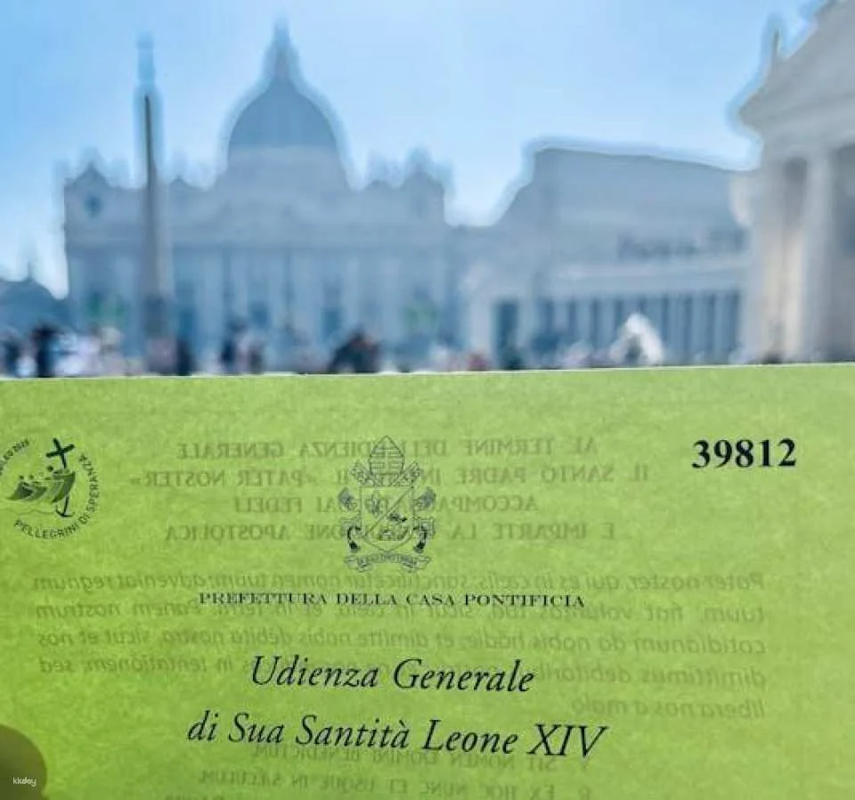 Papal Audience and Guided Tour in Spanish