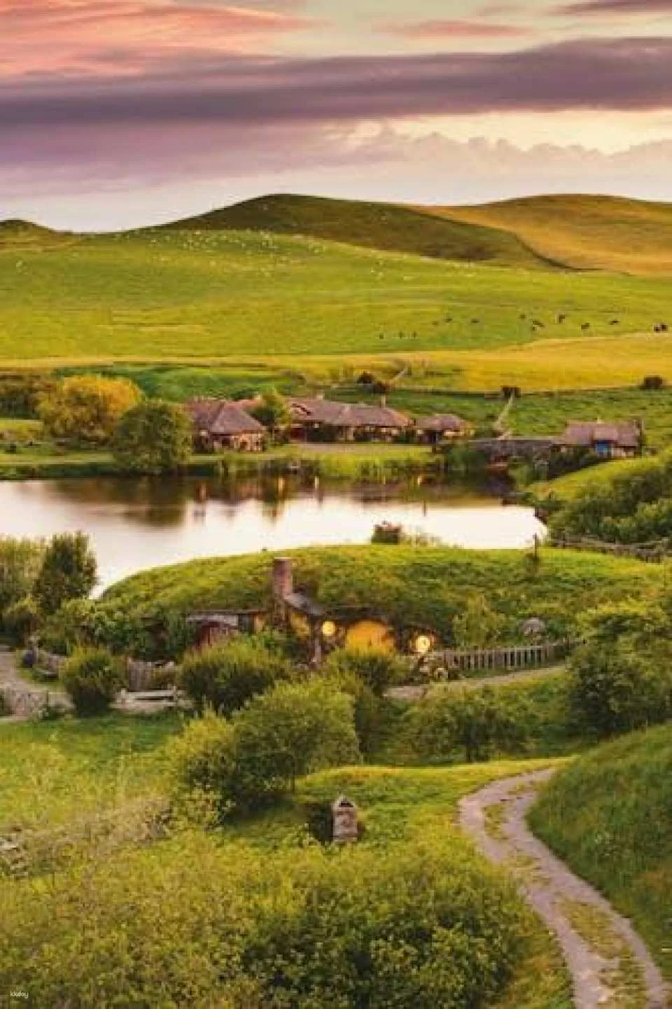 Hobbiton express day tour with lunch