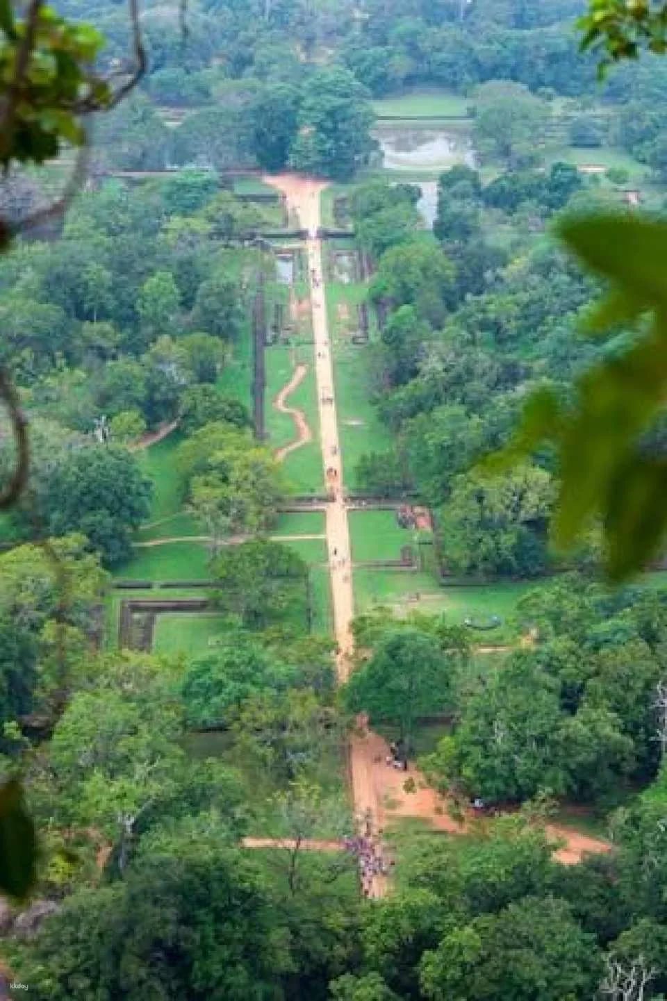 Sigiriya Lion Rock and Dambulla Cave Temple tour in Sri Lanka