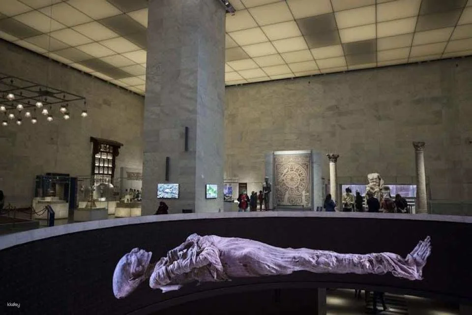 Civilization Museum, Salah El Din Citadel, and more guided from Cairo