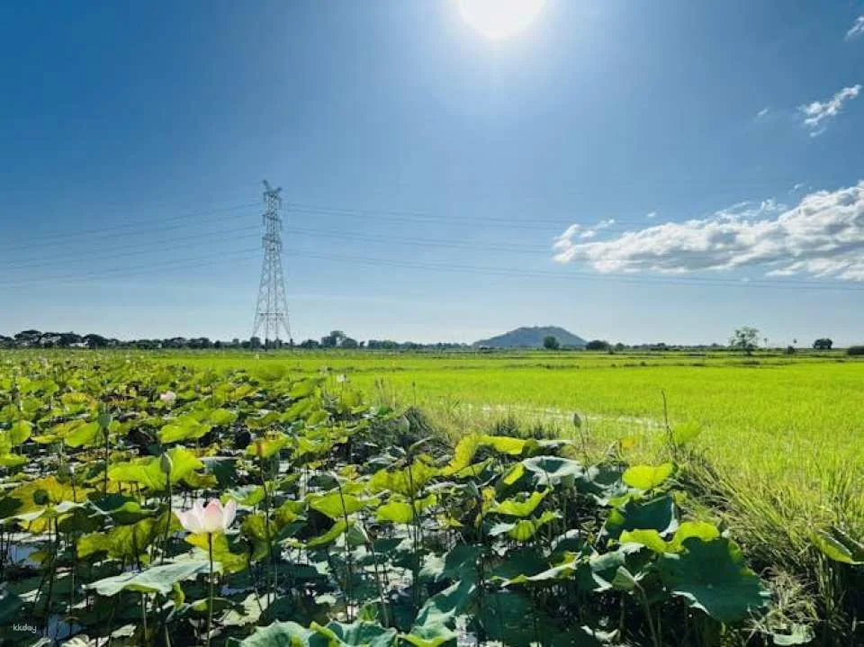 Siem Reap sunset countryside cycling tour