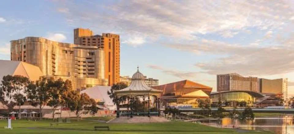 Adelaide city highlights half-day tour