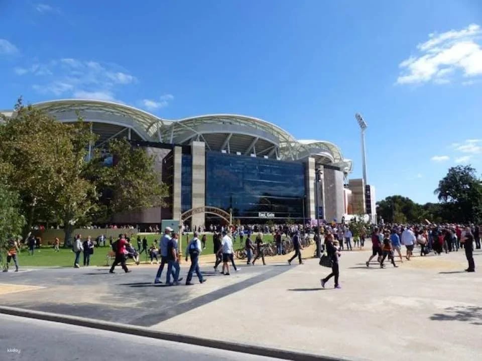 Adelaide city highlights half-day tour