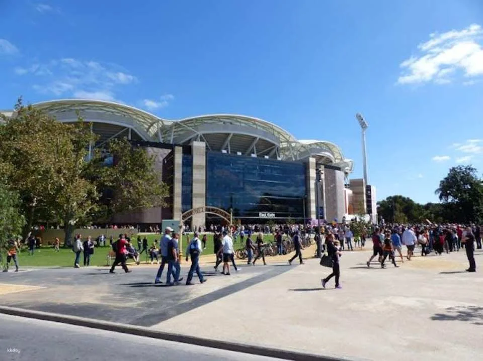 Adelaide city highlights half-day tour