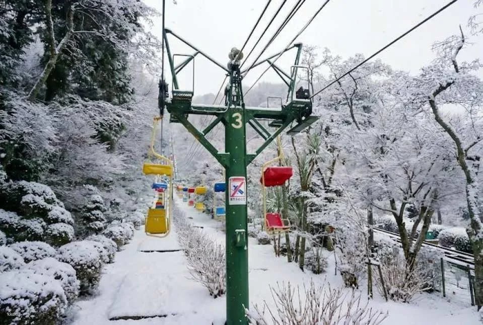 Kyoto Chion-ji Temple and Ine Boat Houses One-Day Tour