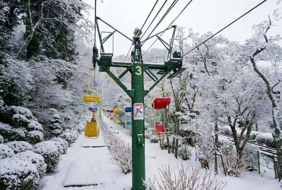 Kyoto Chion-ji Temple and Ine Boat Houses One-Day Tour