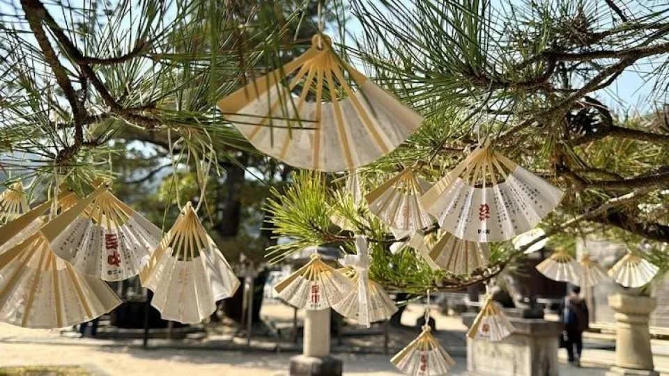 Kyoto Chion-ji Temple and Ine Boat Houses One-Day Tour
