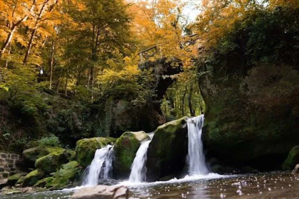 Luxembourg Private 1-Day Tour (617638)