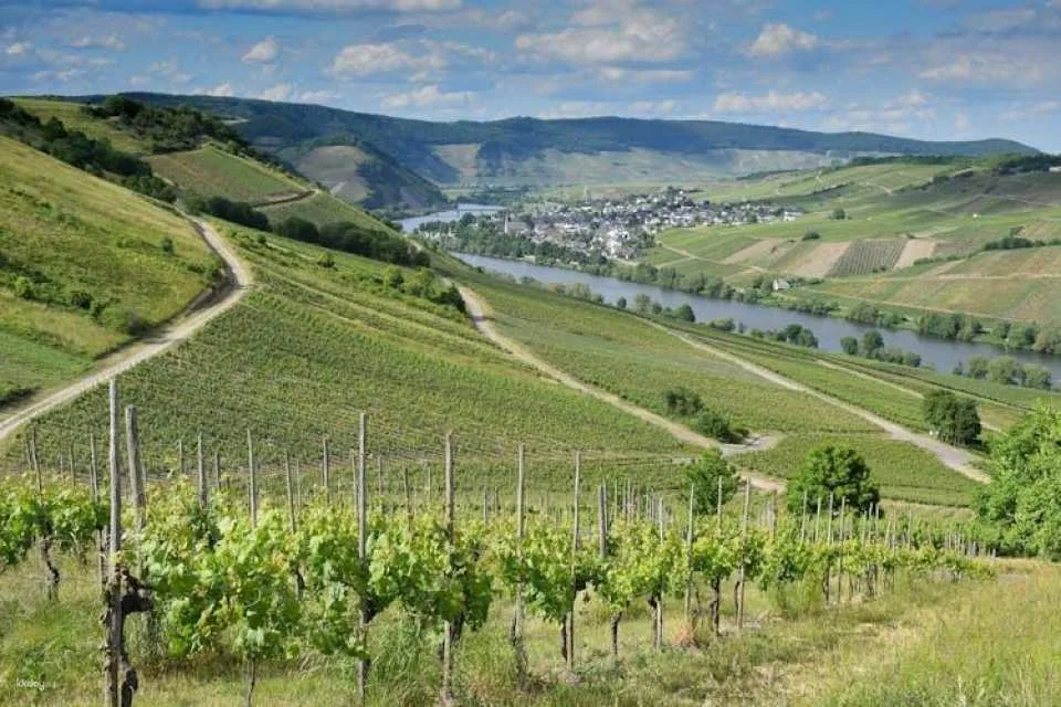 Luxembourg Private 1-Day Tour