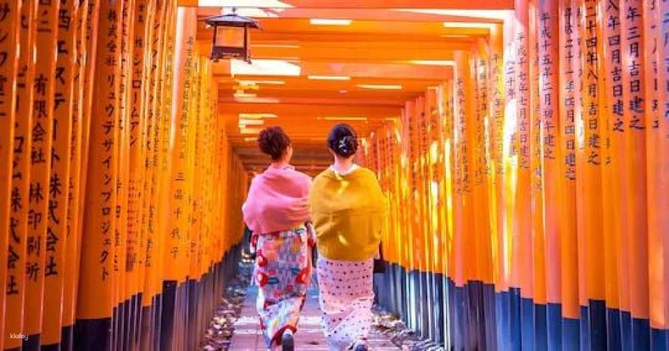 Guided day tour from Osaka to Nara Park, Arashiyama and Fushimi Inari
