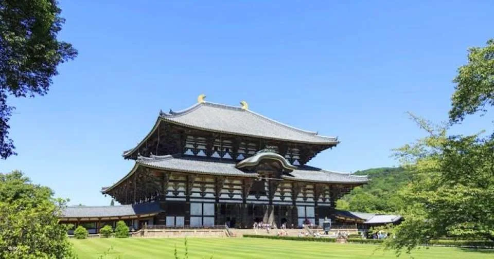 Guided day tour from Osaka to Nara Park, Arashiyama and Fushimi Inari