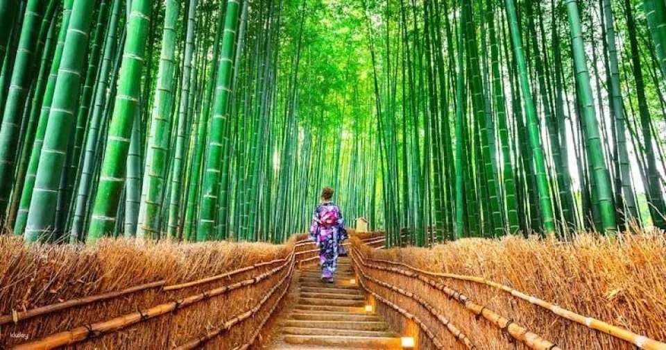 Guided day tour from Osaka to Nara Park, Arashiyama and Fushimi Inari