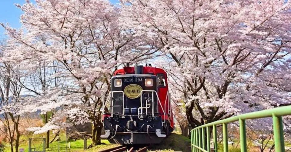 Guided day tour from Osaka to Nara Park, Arashiyama and Fushimi Inari