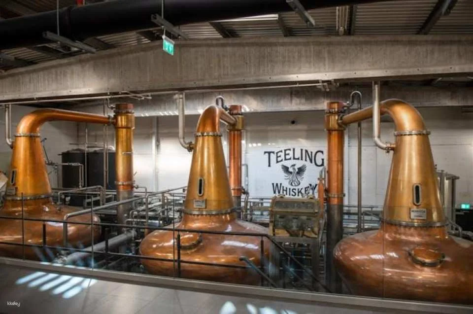 Teeling Whiskey Distillery tour with tasting