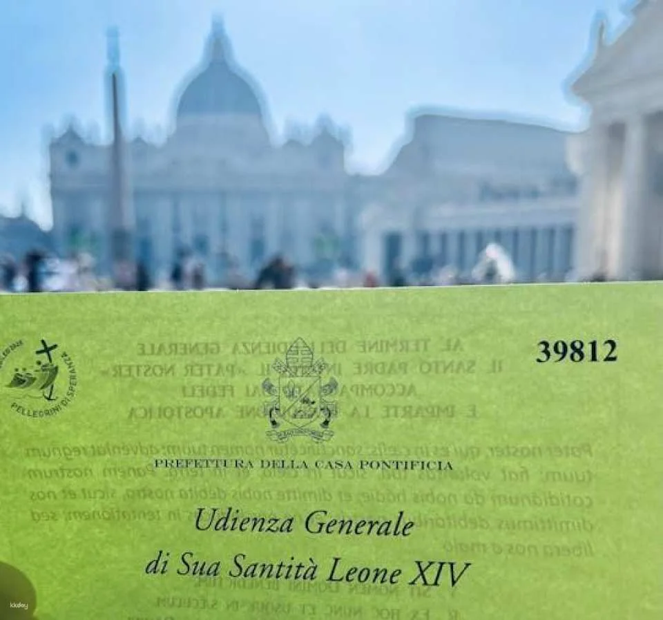 Papal Audience and Guided Tour in English (617776)