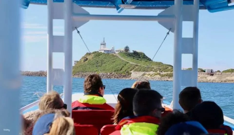 Humpback Whale encounter tour
