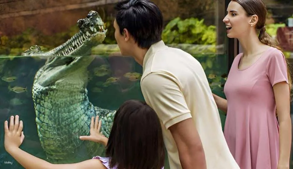 Singapore River Wonders admission ticket