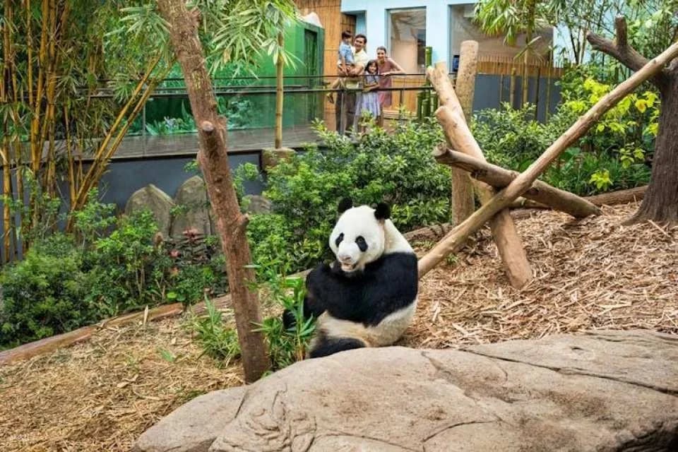 Singapore River Wonders admission ticket
