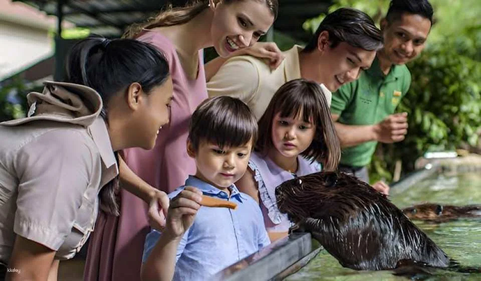 Singapore River Wonders admission ticket