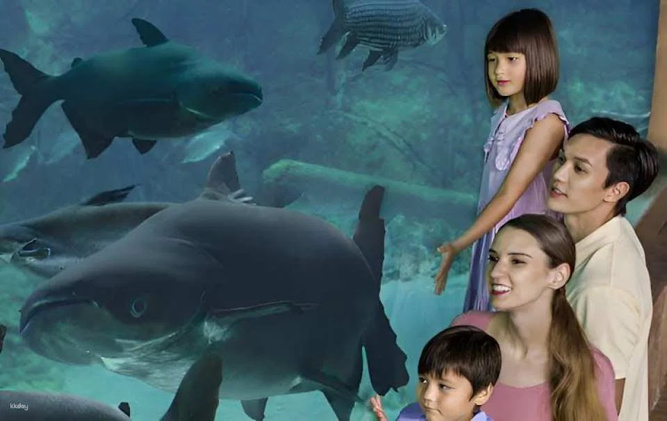 Singapore River Wonders admission ticket