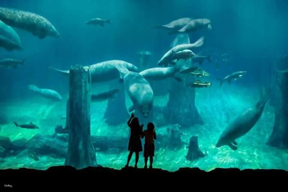 Singapore River Wonders admission ticket