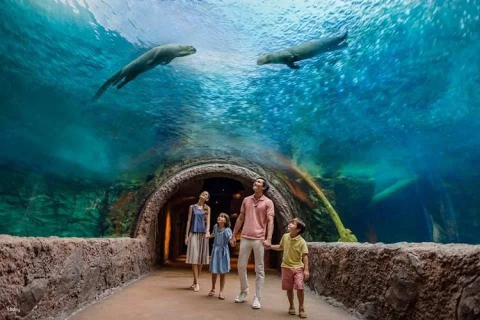 Singapore River Wonders admission ticket