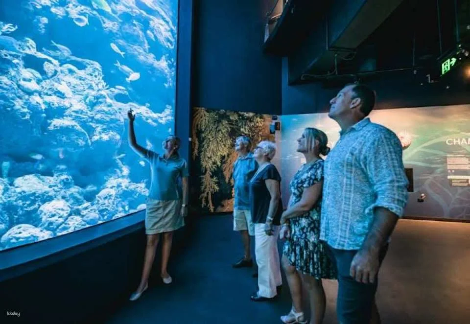 Cairns aquarium twilight two hour guided tour and entrance ticket