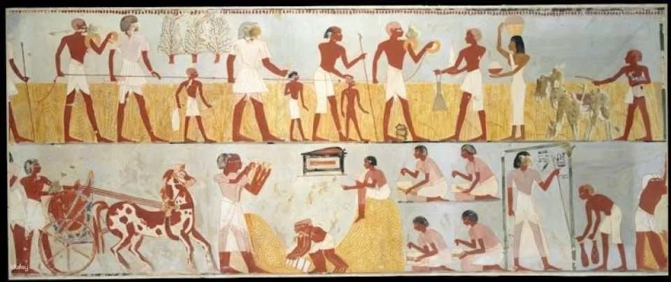 Kings Valley, Nobles, Felucca, Luxor and Habu Temples from Marsa Alam